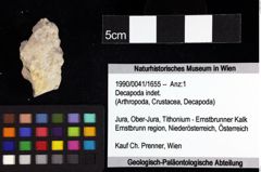 Foto (Objket + Etiketten) von ? Magila sp. 